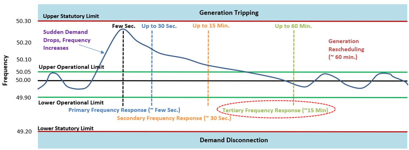 Frequency Response and Ancillary Services
